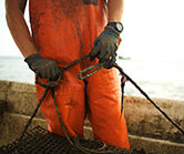 Identity Theft Shield